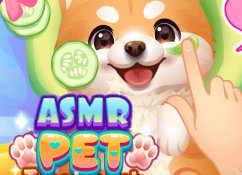 ASMR Pet Treatment