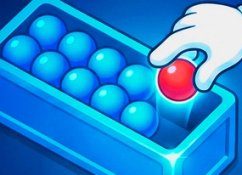 Bubble Sort Puzzle