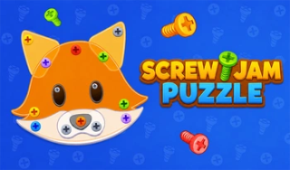 Screw Jam Puzzle