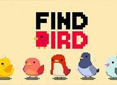 Find Bird