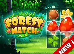 Forest Match