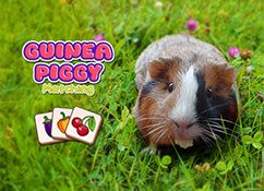 Guinea Piggy Matching