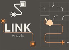 Link Puzzle