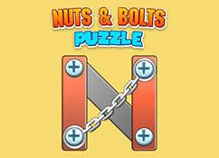 Nuts And Bolts Puzzle