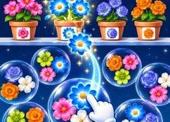 Pop Flower