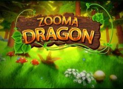 Zooma Dragon